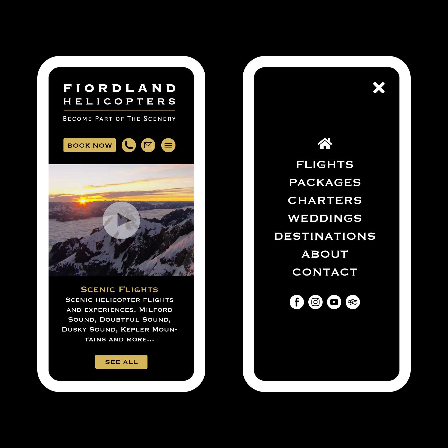 Fiordland Helicopters Scenic Flights Queenstown Web Design